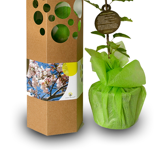 product_detail
