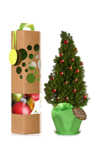Weihnachtsbaum Werbegeschenk