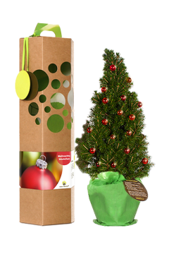 Weihnachtsbaum Weihnachtsbaum